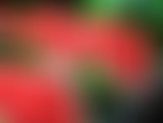 Watermelon for Bodybuilding