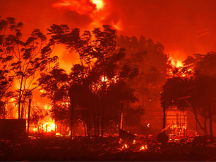 Greek Orthodox Community of New South Wales Expresses Deepest Condolences to the Victims of the Greek Bushfires