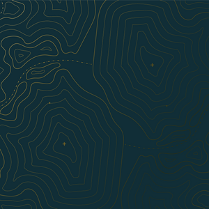 pexels-cottonbro-8767194