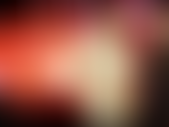 Rendez-vous le 22 décembre à 21h10 sur W9