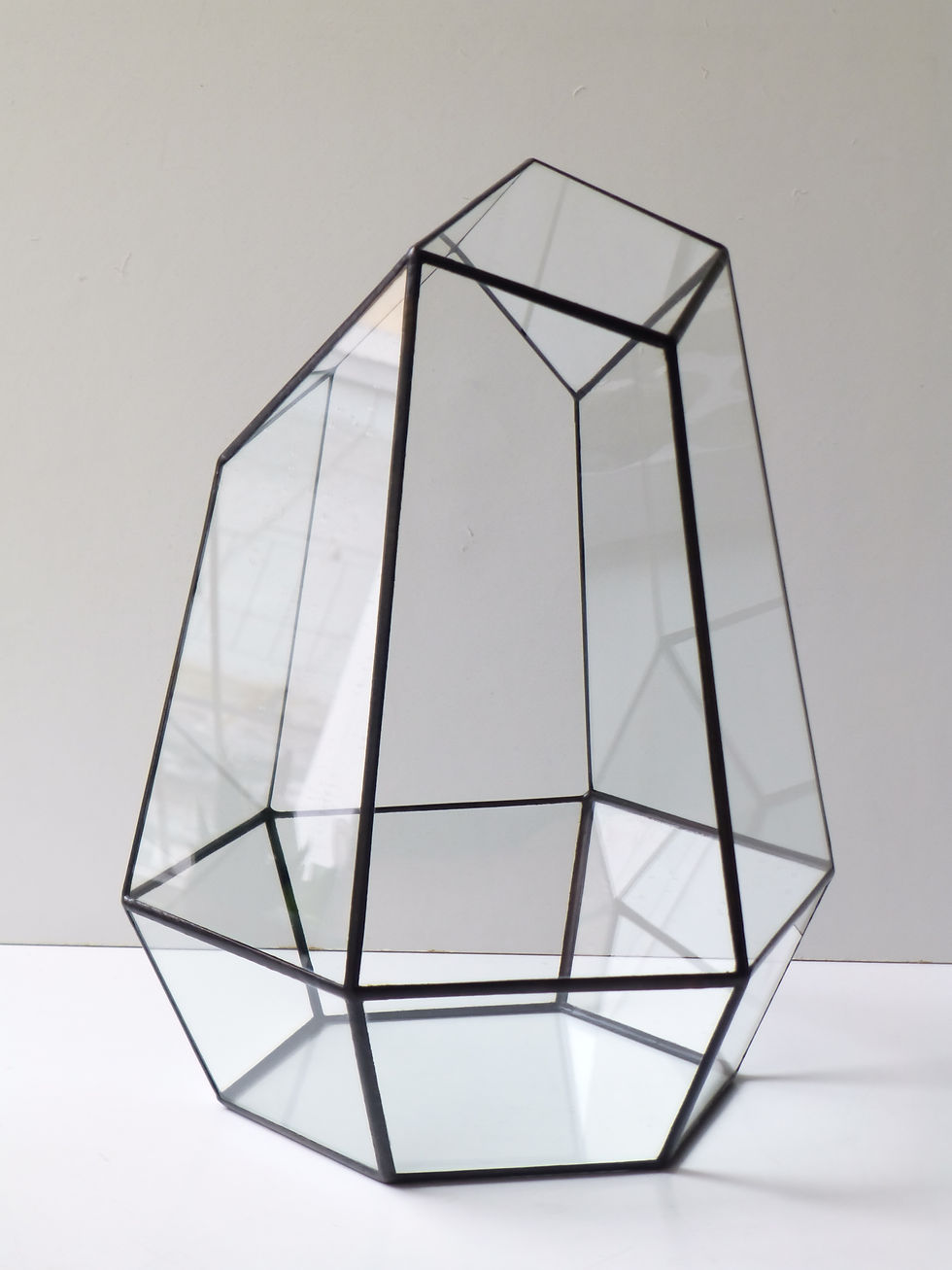 Thumbnail: Орхидариум