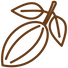 Logo fève de cacao