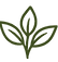 Icon plant