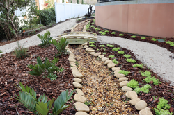 Dry Creek Bed