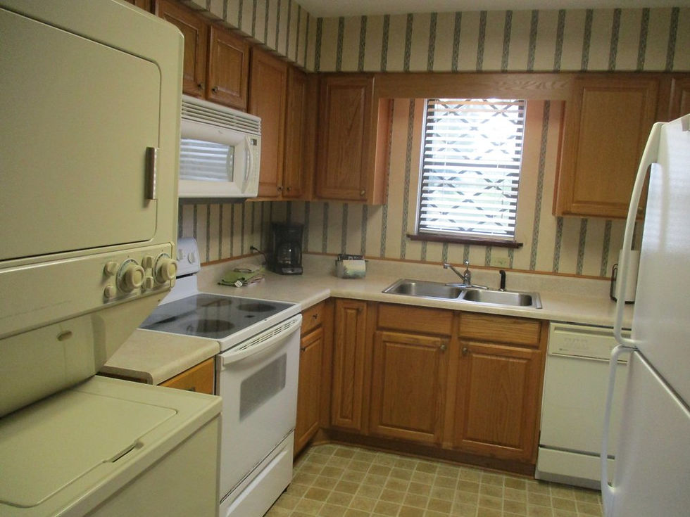 Alpine Village kitchen view.jpg