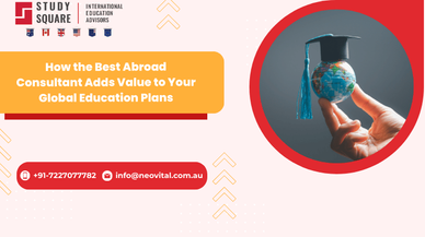 How the Best Abroad Consultant Adds Value to Your Global Education Plans
