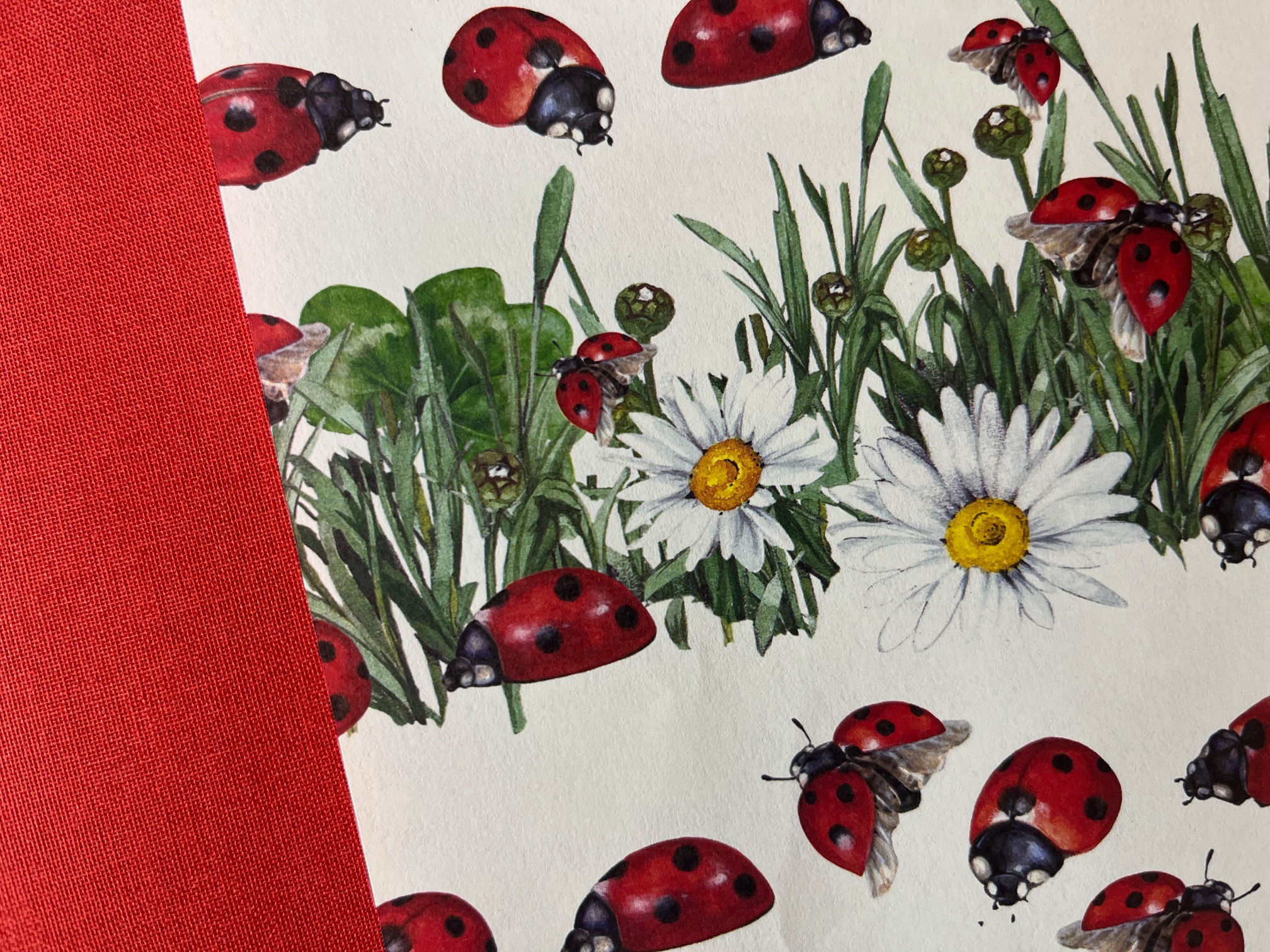 LAIDAN® Notizbuch Marienkäfer