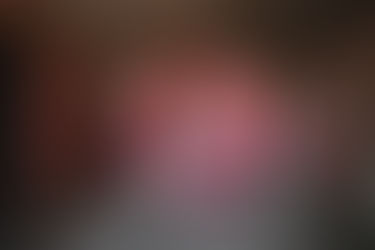 Château du Collectionneur 