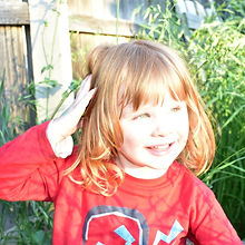 Angus1_edited.jpg