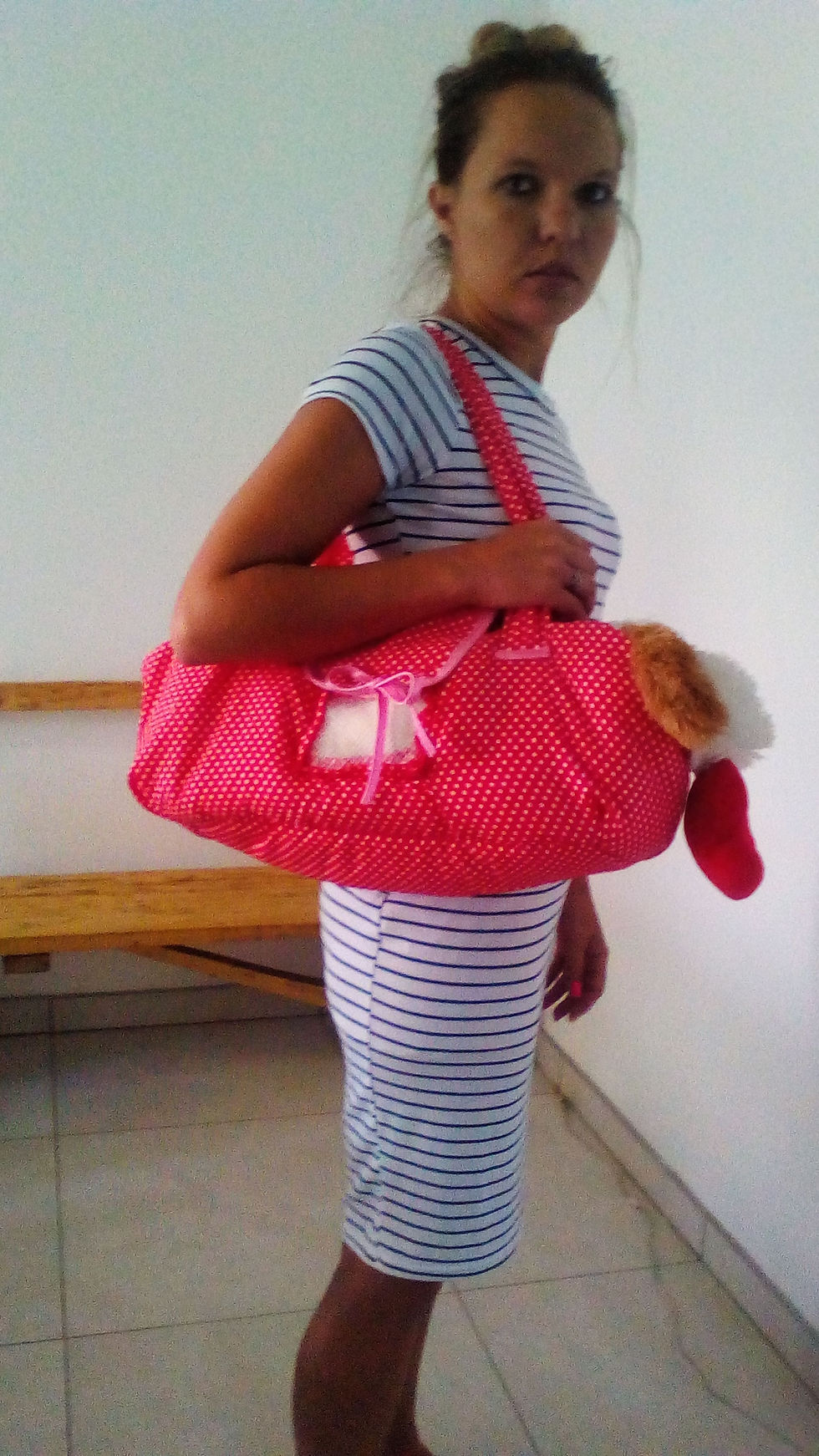 Thumbnail: Doggy handbag