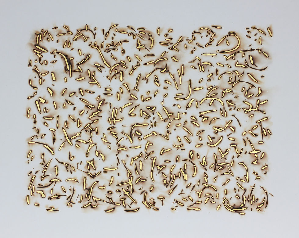 Scorched 2 (unframed)