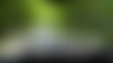 How safe is the Milford Road