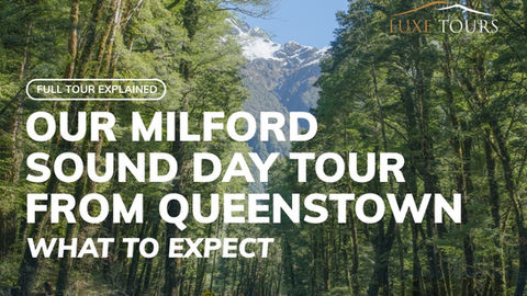 Luxe Tours Milford Sound day tour from Queenstown