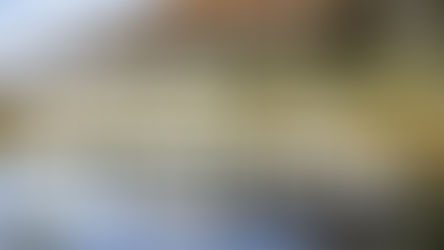 Milford Sound is busy - how to navigate the crowds