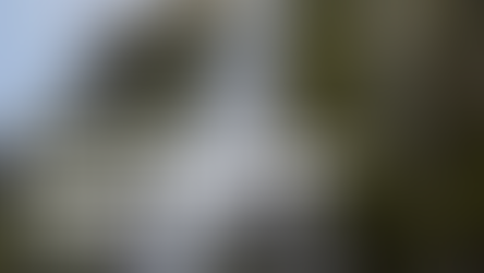 Visiting Milford Sound with Accessibility Needs