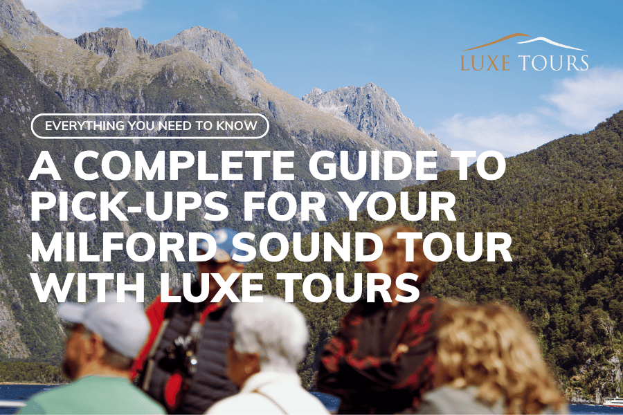 A Complete Guide to Pick-Ups for a Milford Sound Tour