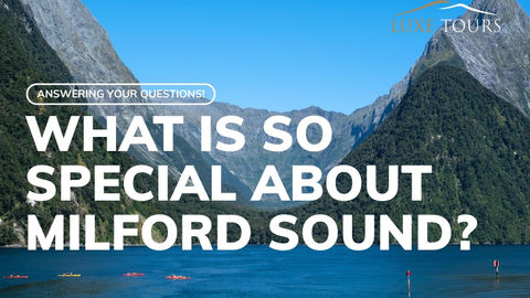What is so special about Milford Sound