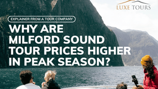 Why are Milford Sound Tour Prices Higher in Peak Season?