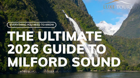 Milford Sound - The Ultimate Guide from local experts in 2026