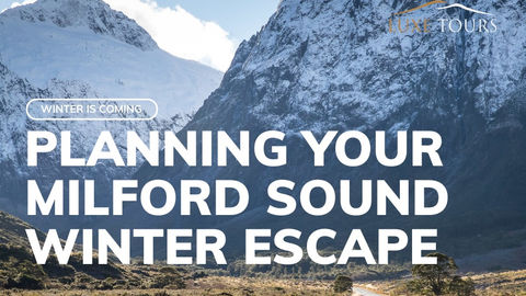 Planning your Milford Sound Winter escape