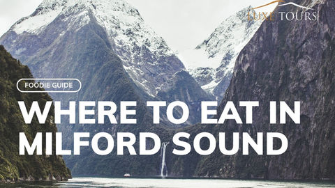 Where to eat in Milford Sound?