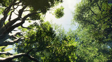 Speedtree and a Demo ~Blog #7