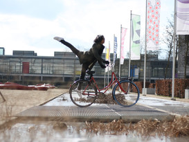 bike.jpeg