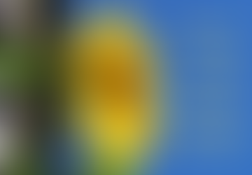 WHAT GOES AROUND COMES AROUND