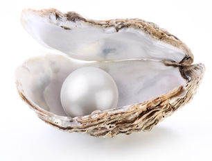 A SIMPLE LESSON FROM THE OYSTER
