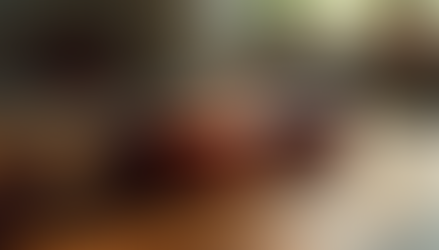 Learning Violin as an Adult: Getting Started