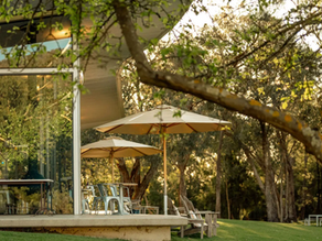 Discover the Unique Charms of Our Winter Purple Route in the Yarra Valley