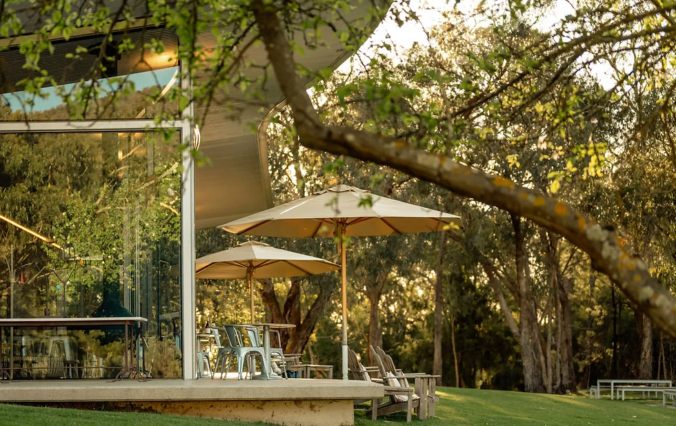 Discover the Unique Charms of Our Winter Purple Route in the Yarra Valley