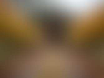 Eye-level view of a rustic cellar door entrance surrounded by winter vines in the Yarra Valley