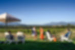 People sitting in deckchairs overlooking vineyard