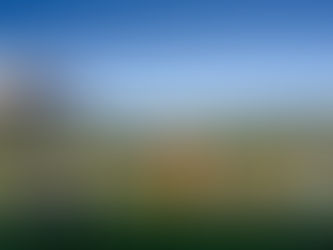 people standing and sitting in front of a vineyard and holding wine glasses