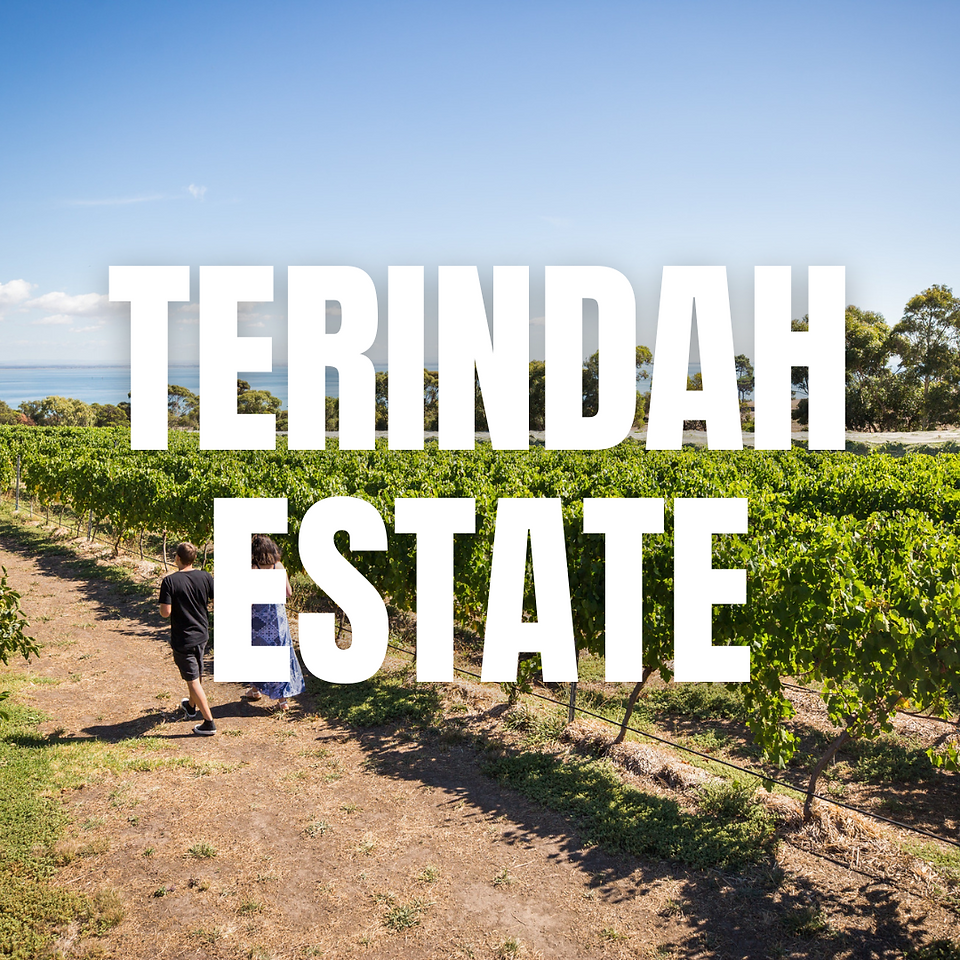 Vineyard