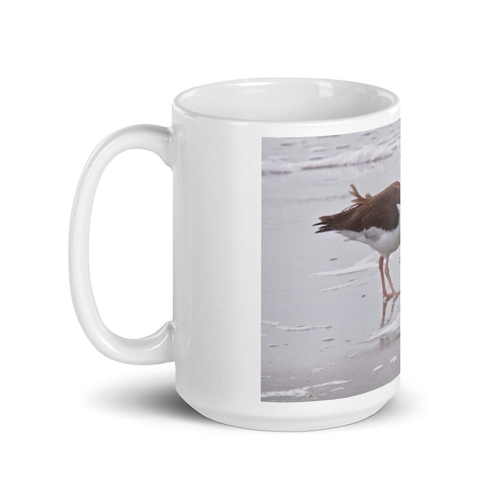 Thumbnail: Sea Gull