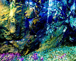 Beautiful Photo of Avalanche Collection, no name.