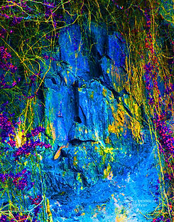 Beautiful Photo of Avalanche Collection I call Tooth PICK.