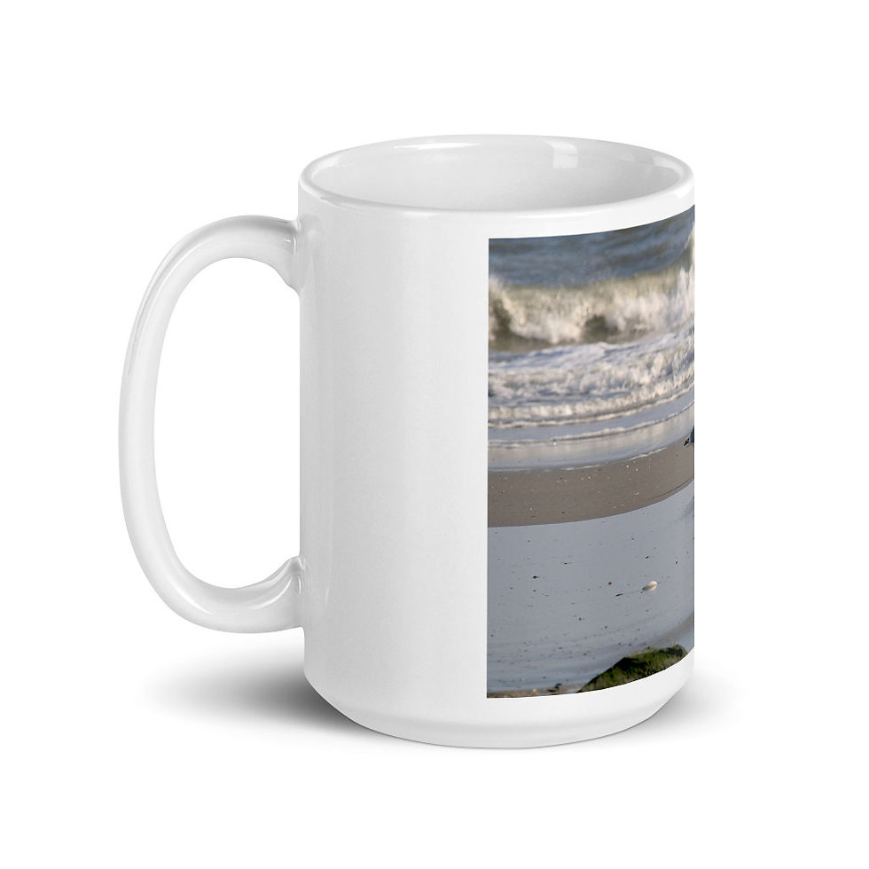 Thumbnail: Sea Gull