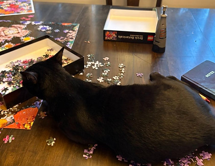 Athenacat3.jpg