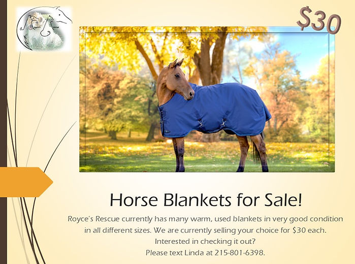 Horse Blankets for Sale!3.jpg