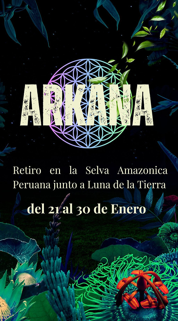 arkana_20251104_125333_0000.jpg