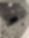 IMG_6731.jpeg