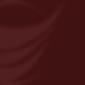 FUNDO VINHO SEM LOGO PHOENIX GLOBAL.png