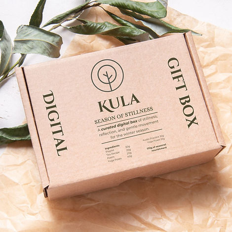 2 Kula digital box Packaging Features Instagram Post.jpg