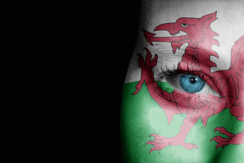 A person with the Welsh flag painted on them.