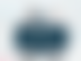 Polymer Link IPO 深度分析：POLYMER LINK是隐藏宝石还是高风险陷阱？