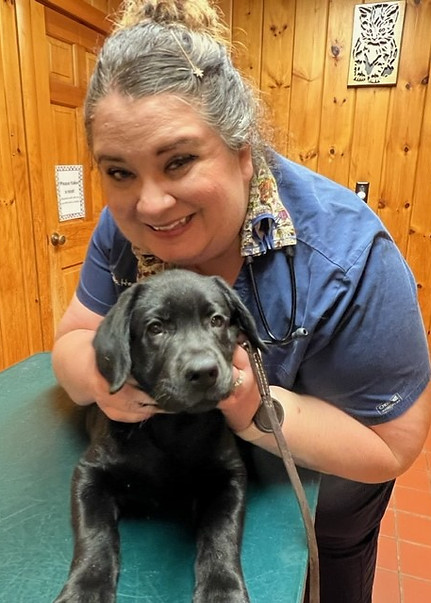 woody poses vet.jpeg