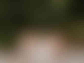 a bride and her 7 bridesmaids